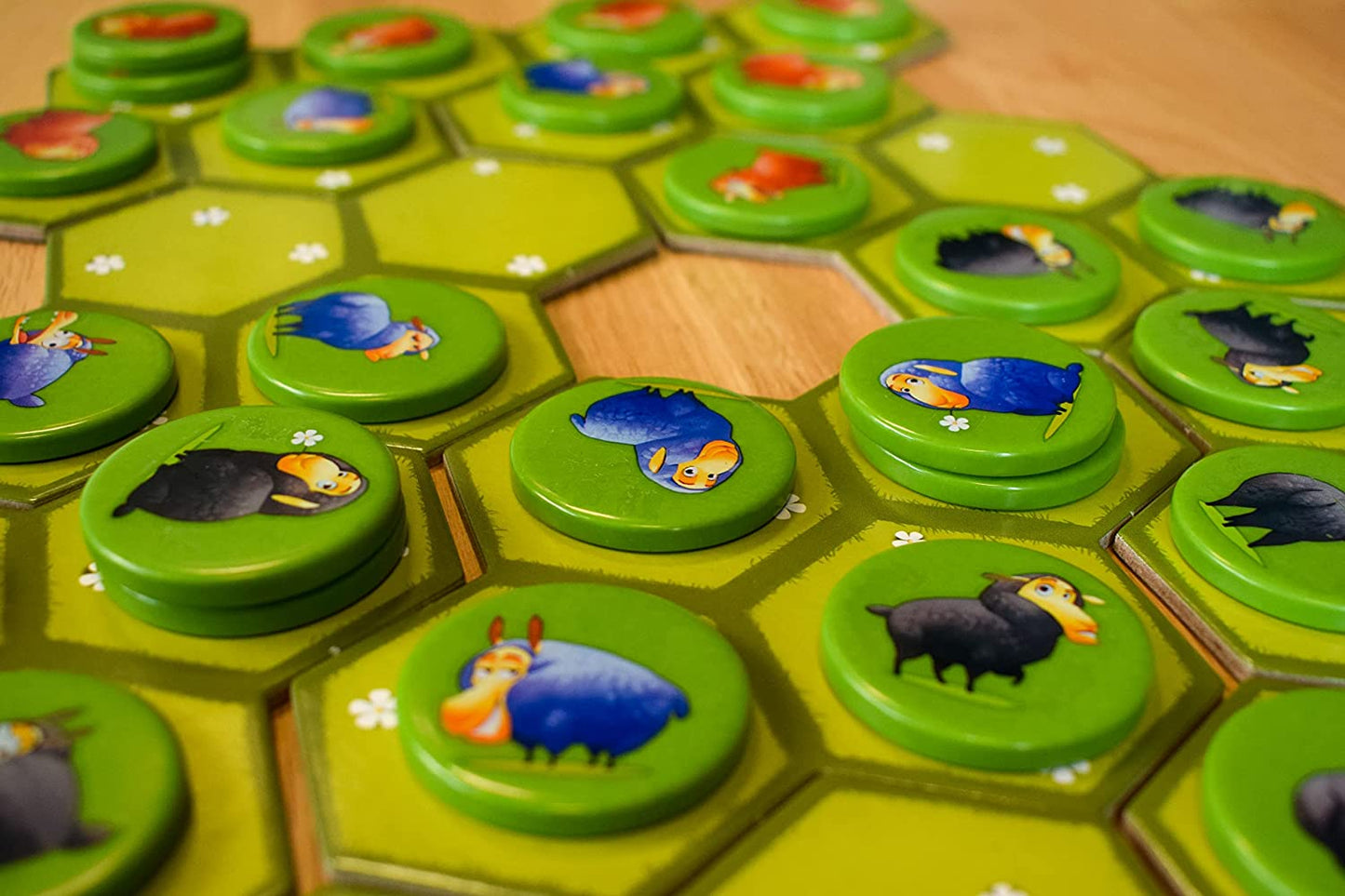 Battle Sheep Blue Orange