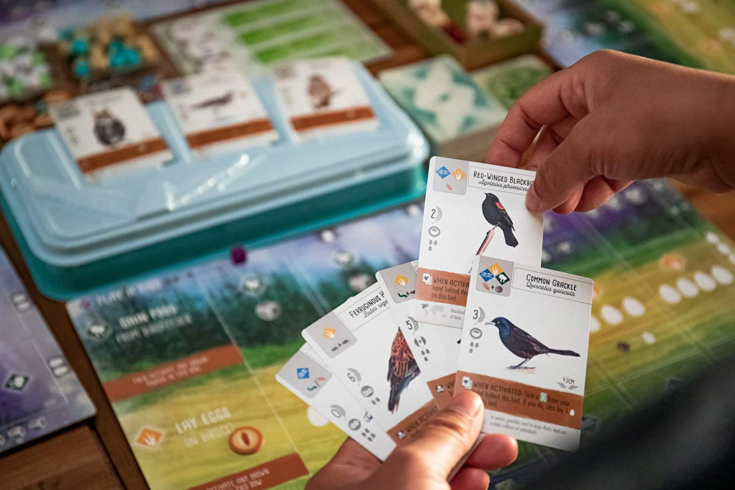 Wingspan 2nd Edition StoneMaier