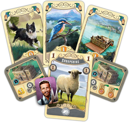 Great Western Trail: New Zealand Eggertspiele