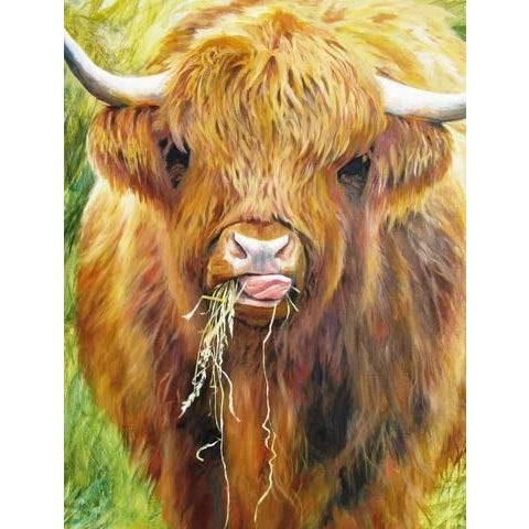 Highland Cow 1000 Piece Jigsaw Puzzle All Jigsaw Puzzles